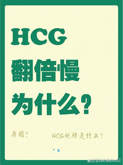 翻倍慢