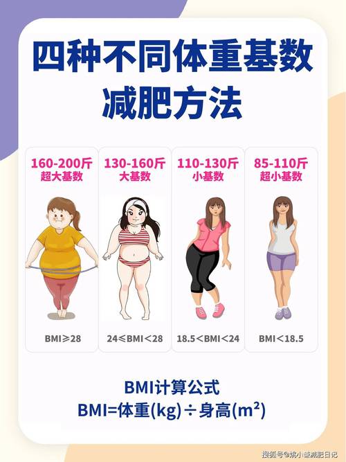 试管婴儿过程中的脂肪管理：如何健康减脂？