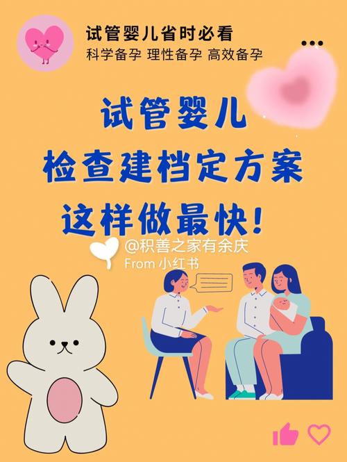 试管婴儿的选择：辞职去追求生育梦的利与弊