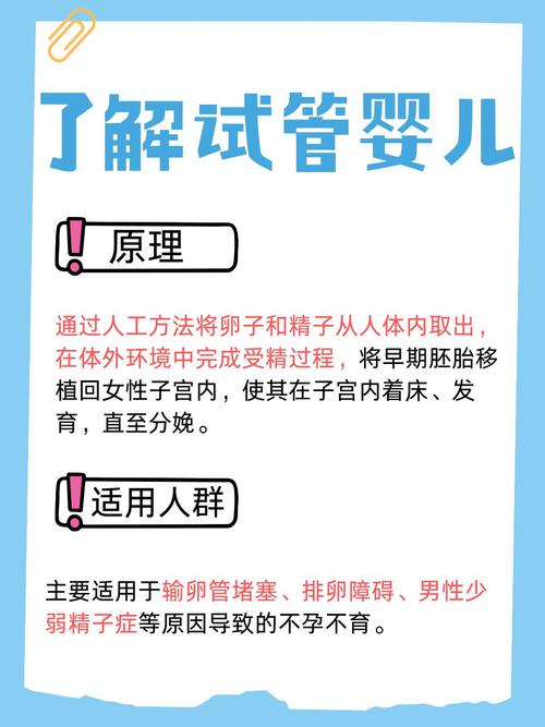  女性健康
【描述】：本文探讨了女性进行试管婴儿后所面临的成功与挑战，包括技术成功率的提高和身体、精神、经济及社会观念上的挑战。