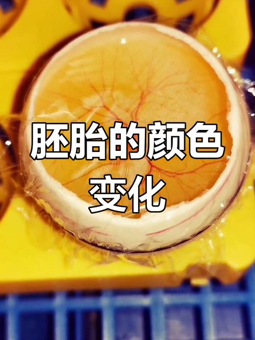  胚胎颜色异常