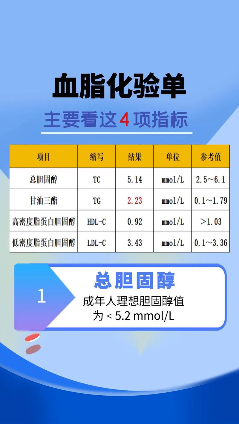  血脂检测