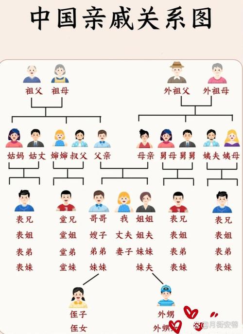亲缘关系