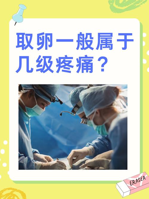  取卵疼痛