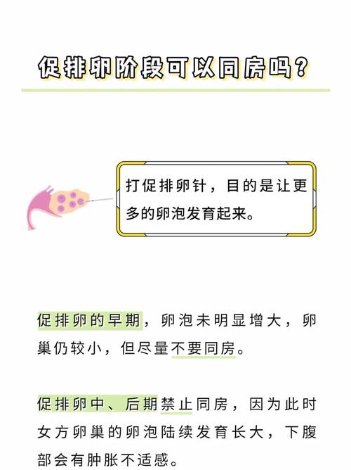 试管婴儿后可以同房吗？这是个重要问题。