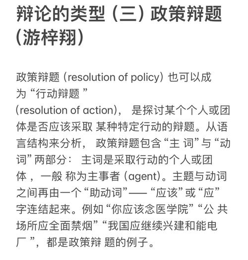 政策辩论