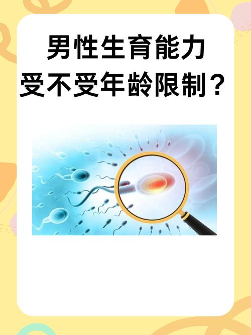  男性生育能力