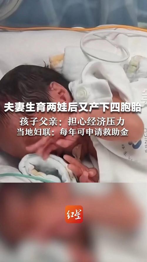 生育救助