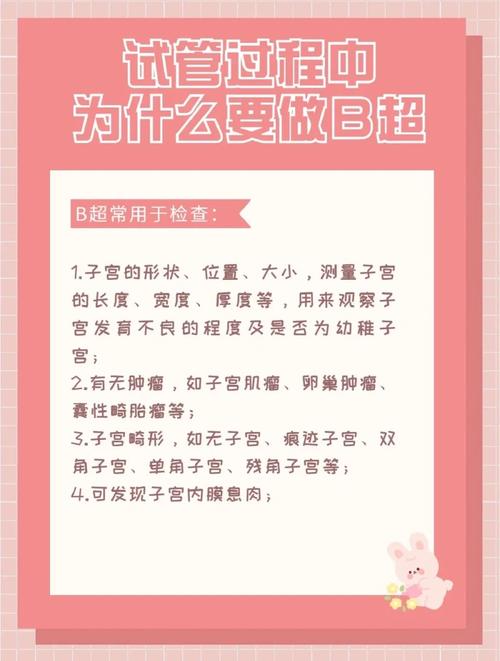 试管婴儿超声检查需关注哪些问题？