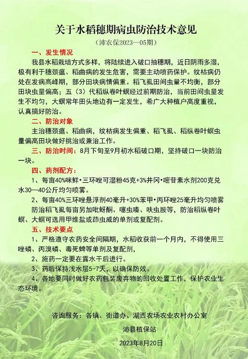 用药时机