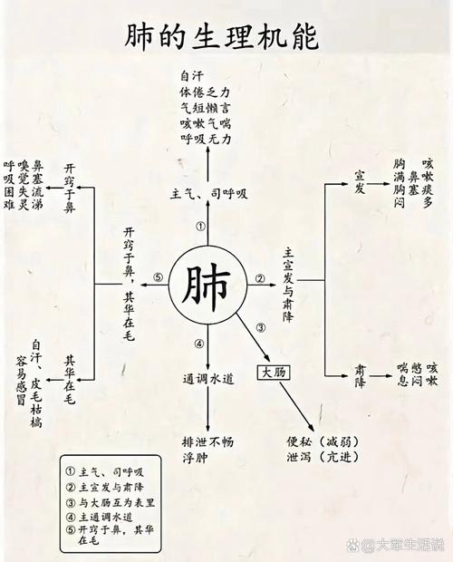 生理机能