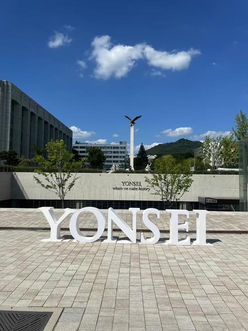 韩国延世医院