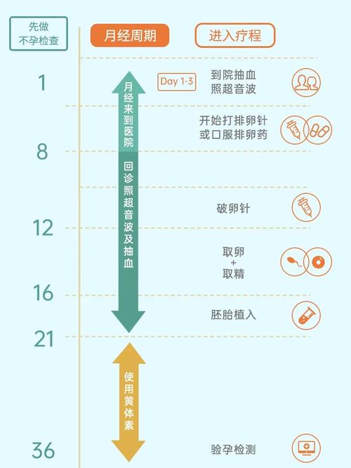 试管婴儿打一孕科普：过程详解和常见术语