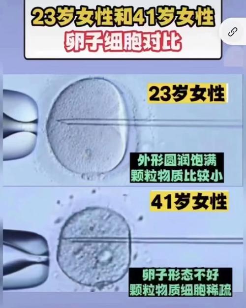 试管婴儿的外貌特征：成熟感究竟从何而来？
