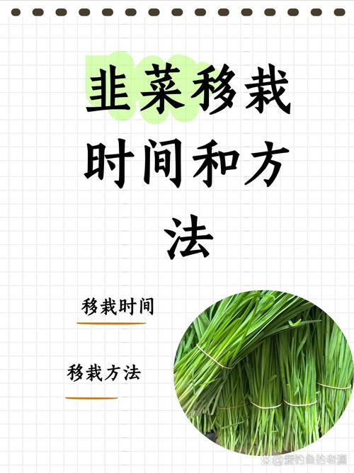 最佳时机