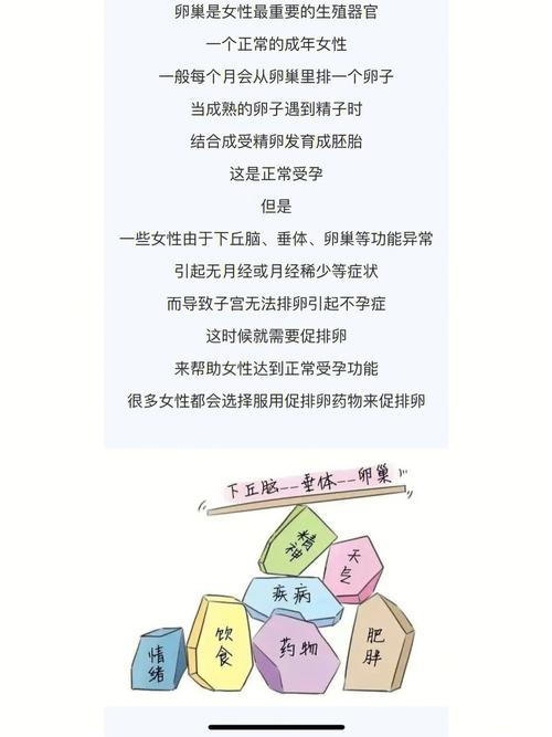 生殖健康
描述: 本文详细介绍了试管婴儿周期内90天各阶段的检查项目，包括前期、促排卵、取卵移植前后的检查，同时阐述了生活习惯、心理调节、用药等方面的注意事项，为试管婴儿备孕夫妻提供全面指导 。