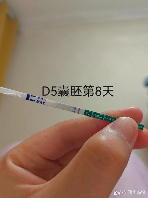 囊胚试纸