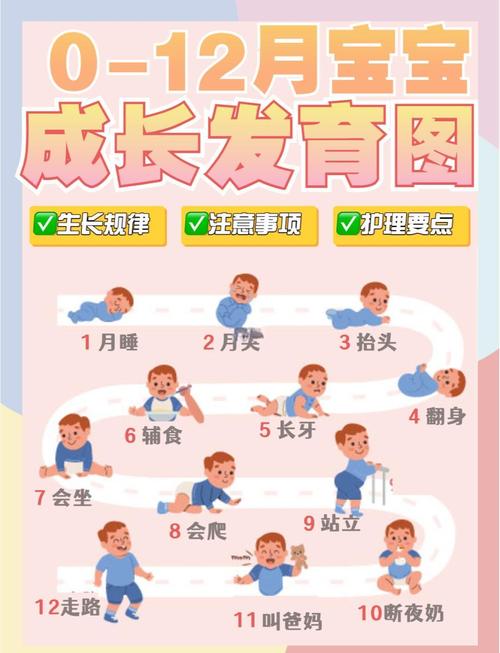  发育