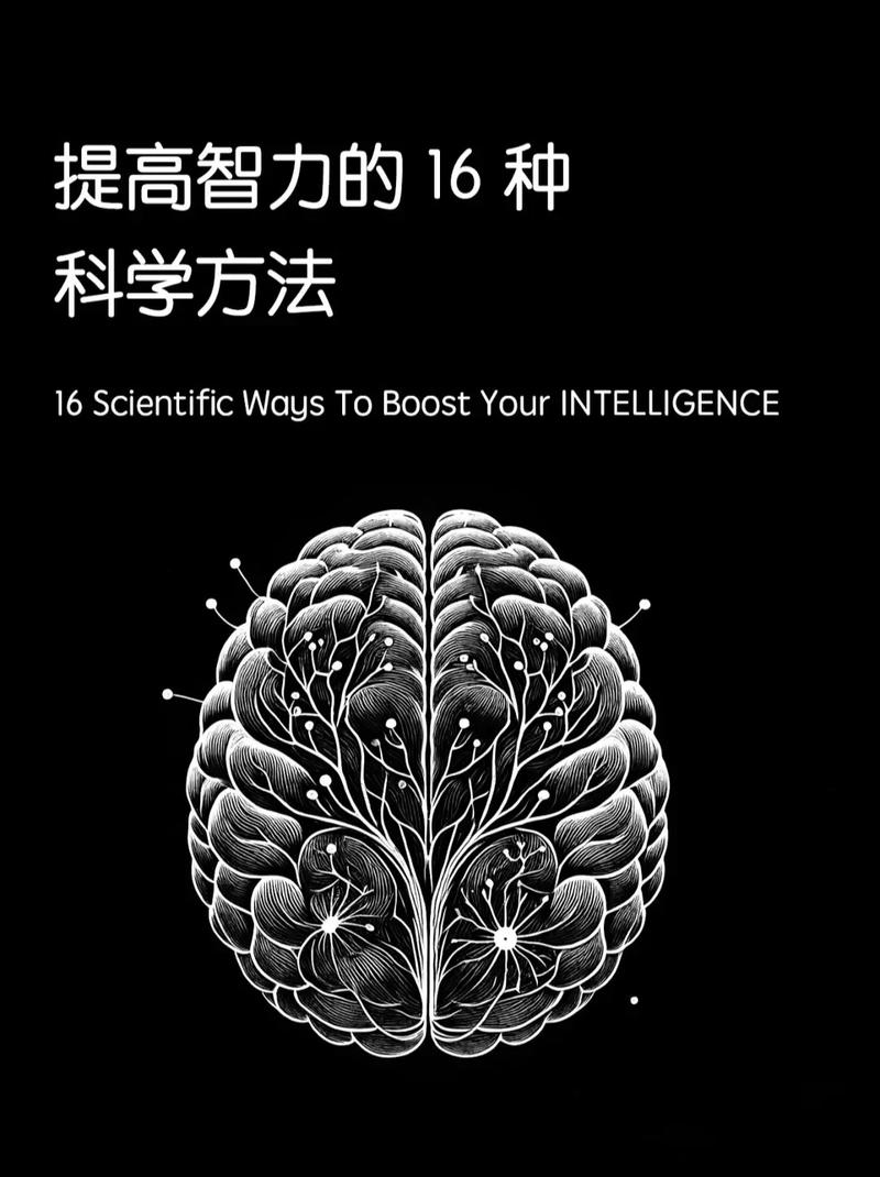 智力培养