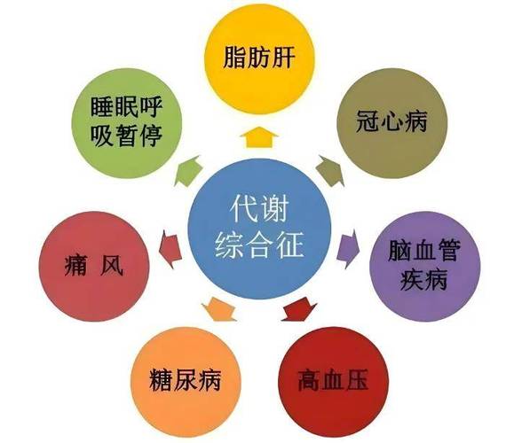  代谢健康
