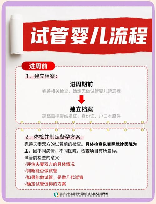 单身也能做试管婴儿？详细了解政策与流程
