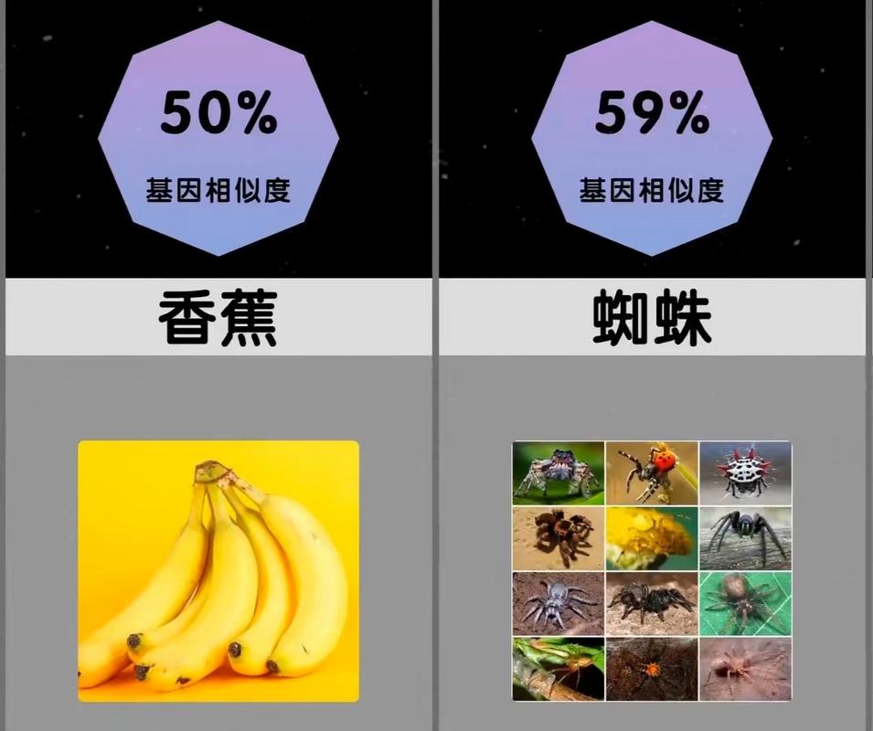 相似度