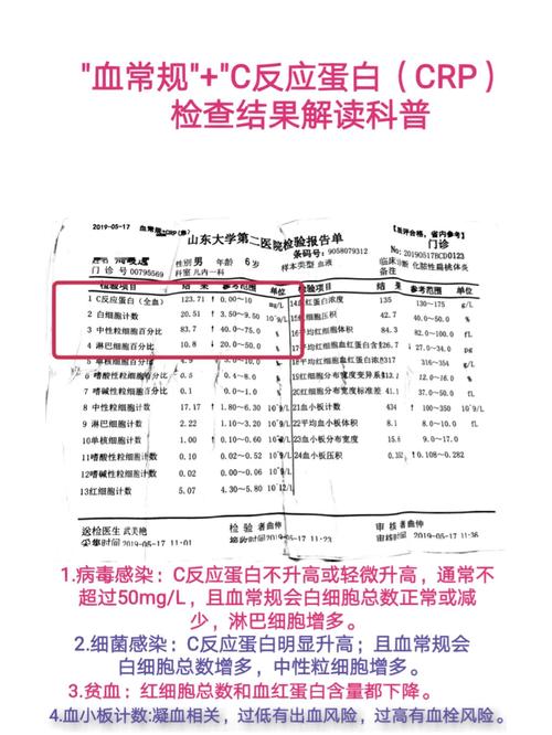 检测结果解读