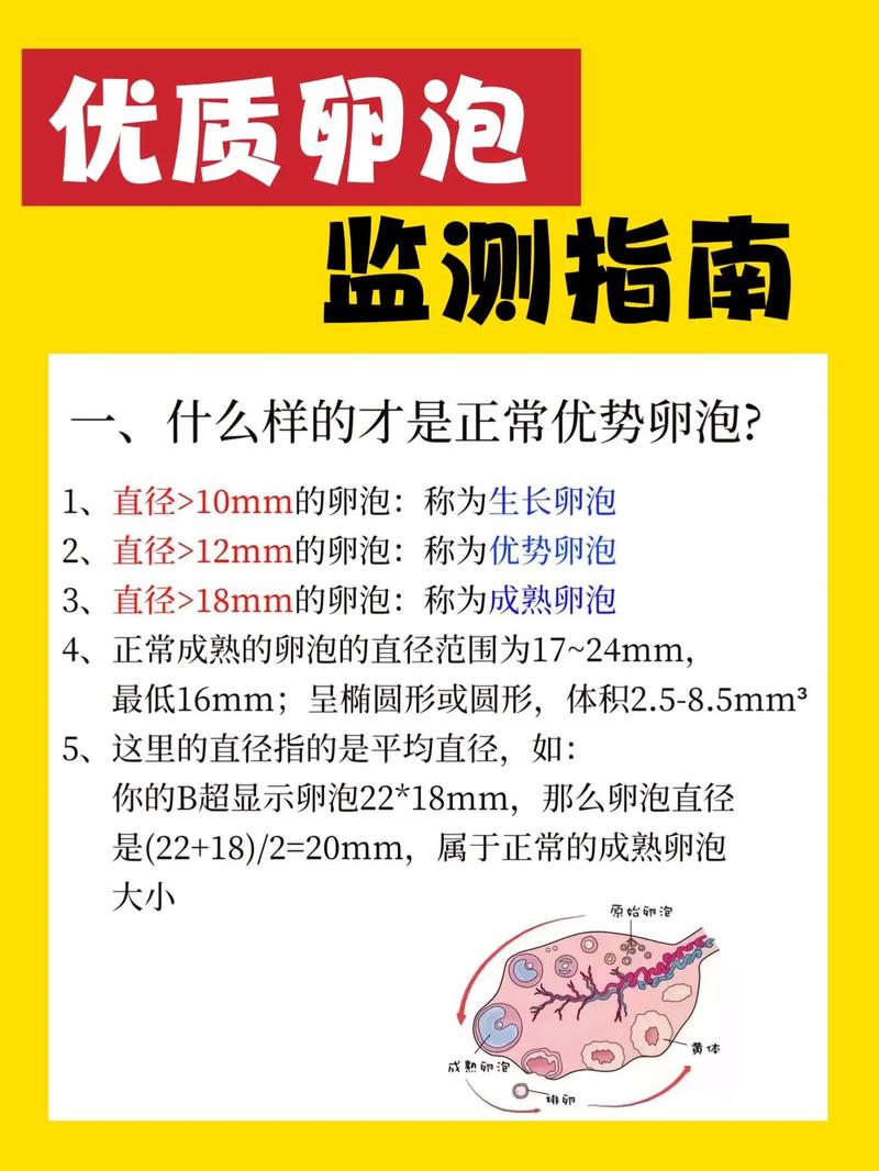 卵子检查