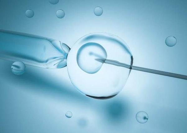 试管婴儿智商提升的秘密：播种网的科学探索