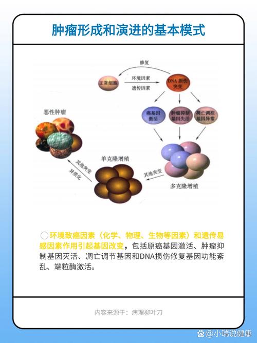 肿瘤因子原因