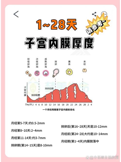 内膜厚度为零