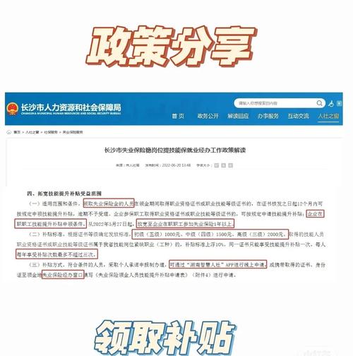 深入解读宁夏试管婴儿补贴政策及其影响分析