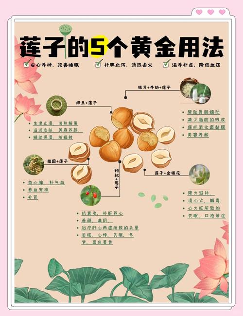 试管婴儿饮食禁忌：莲子真的不能吃吗？