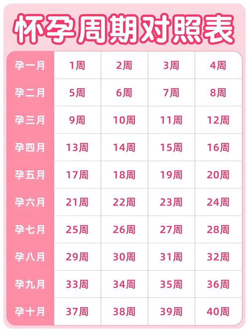  孕周确定