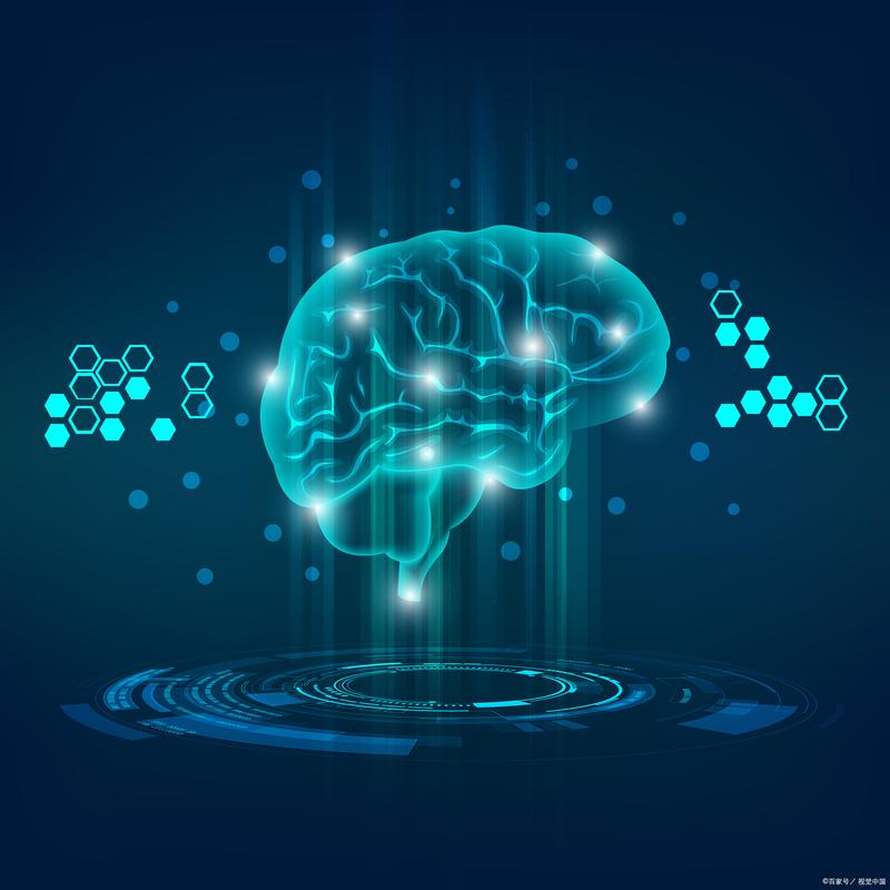 试管婴儿与智障风险的关系探讨及科学分析