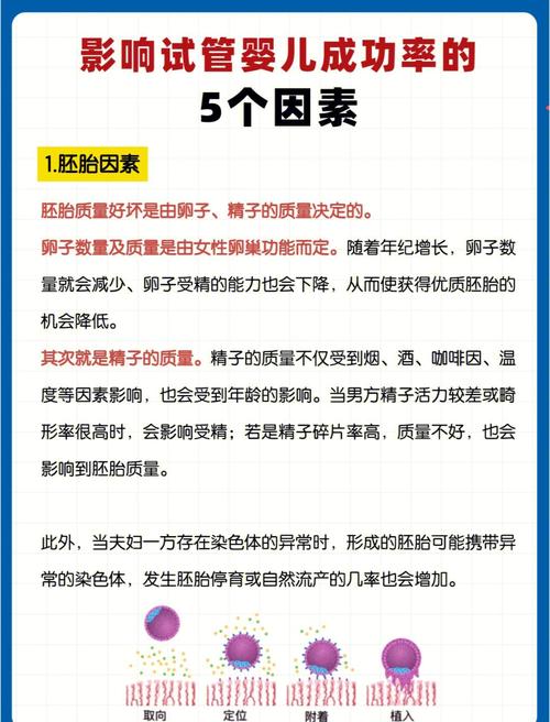 揭秘：试管婴儿对健康的影响究竟有多大？