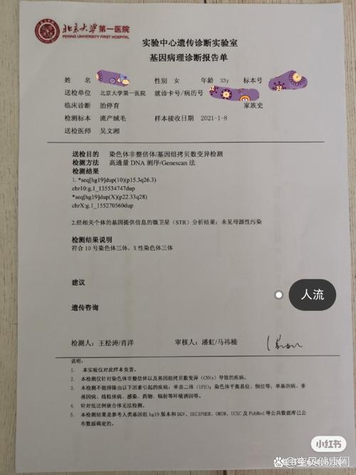 胚胎检测报告