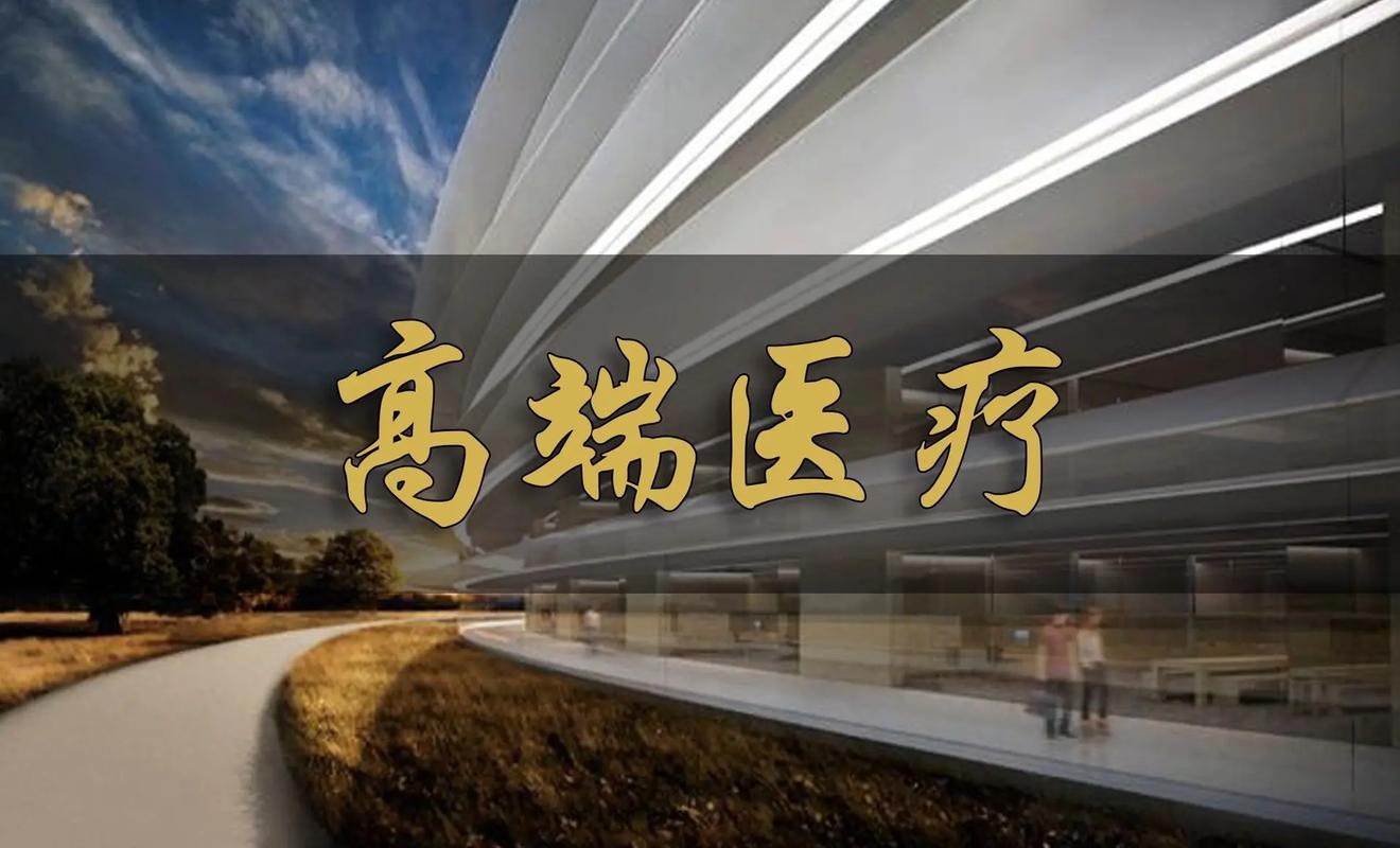 高端医疗服务