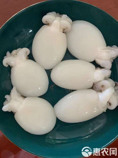 试管婴儿可以吃哪些海鲜？墨鱼适合吗？