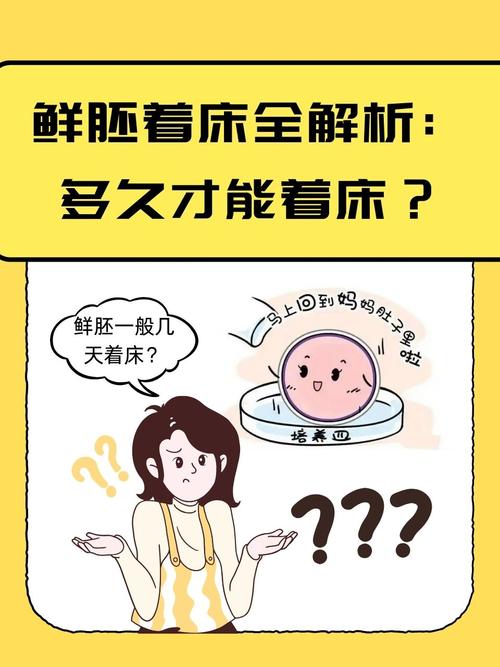 试管婴儿植入时间的探讨：一般多久能完成？