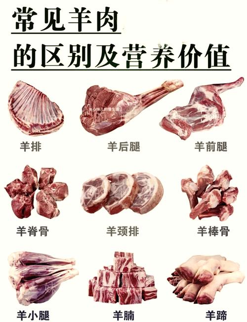 试管婴儿与羊肉的营养之争：你会选择哪个？