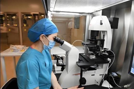 中度地贫患者能否成功进行试管婴儿助孕？