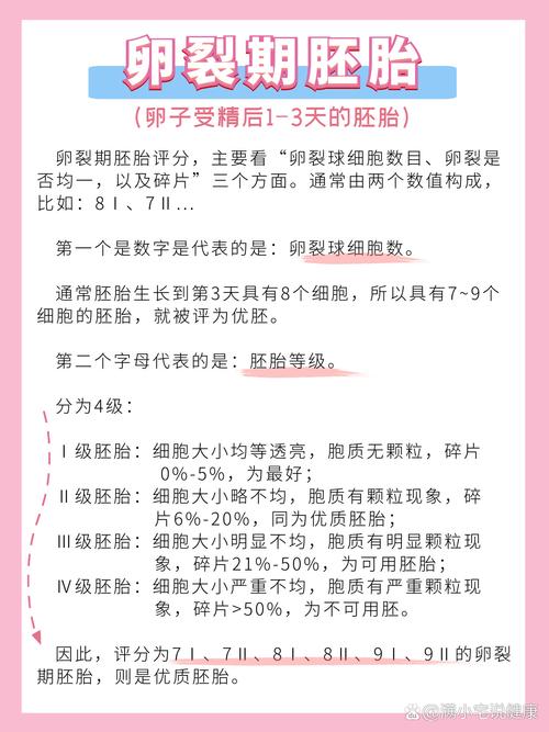 胚胎成活率