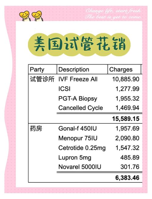 美国试管婴儿费用