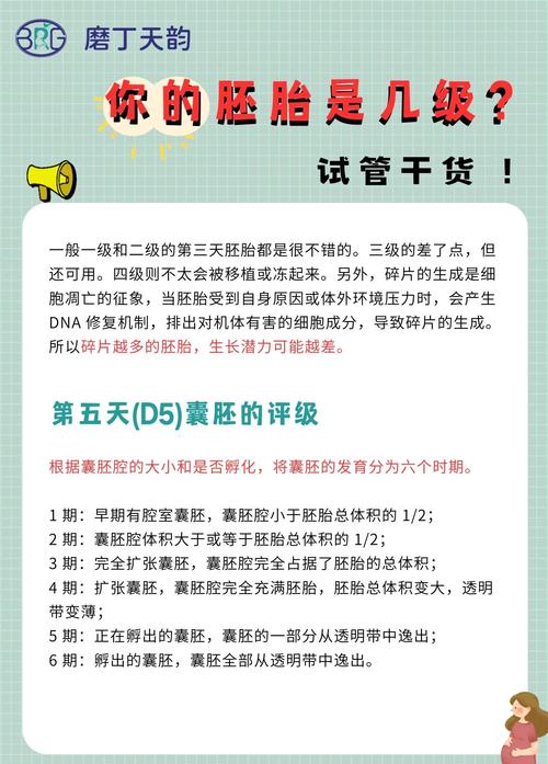 试管婴儿技术中固定胚胎的概念与应用解析