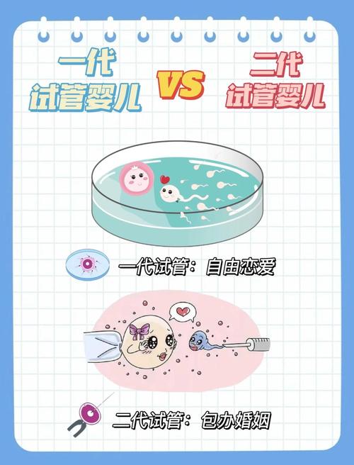 定制婴儿与试管婴儿的区别是什么？