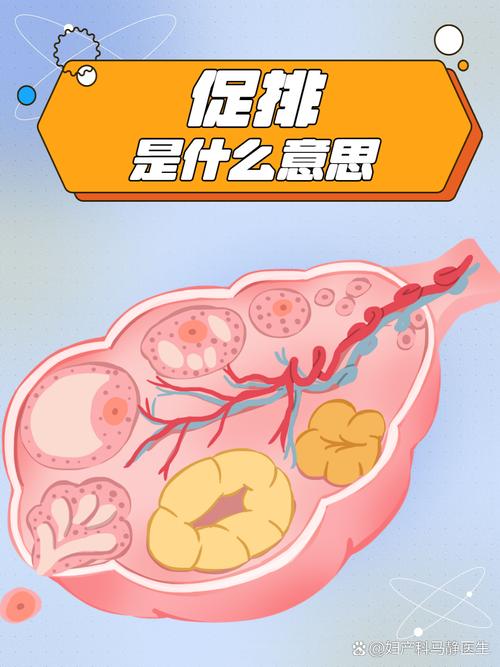 催排卵
