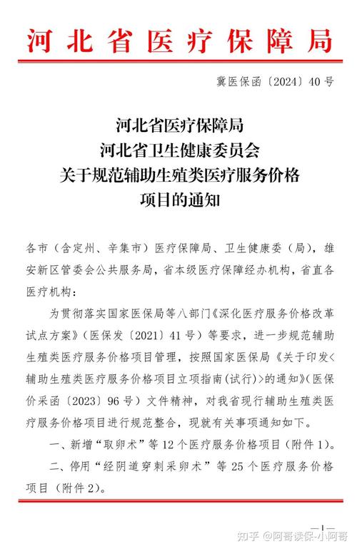 河北省试管婴儿费用是否有医保报销政策？