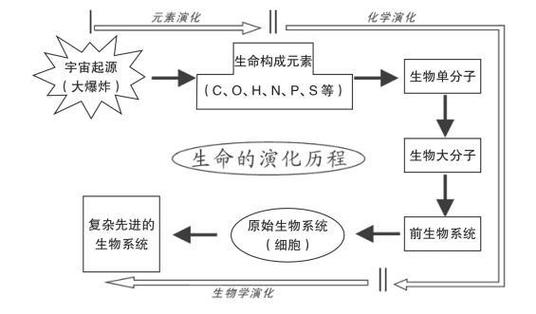  生命起源