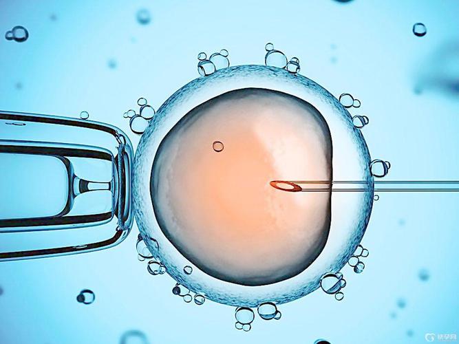 试管婴儿如何应对黄头发现象？